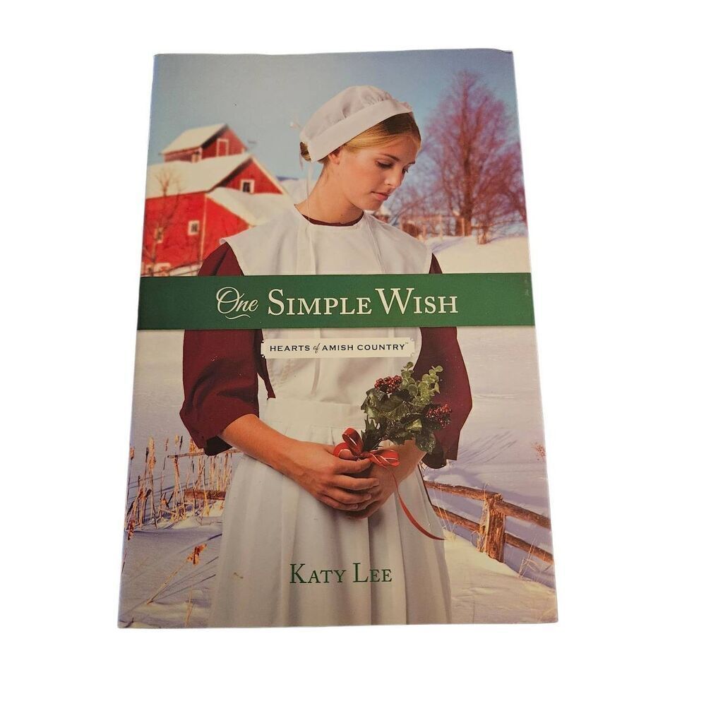 One simple wish hearts of Amish country by katy lee